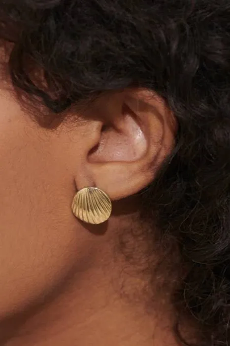 Shell Studs